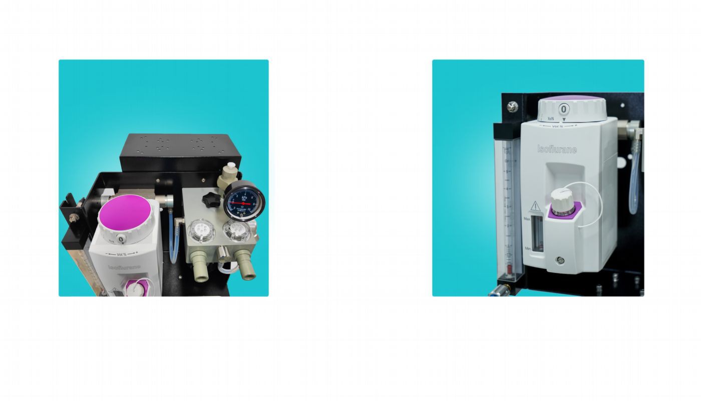 product-1400-800